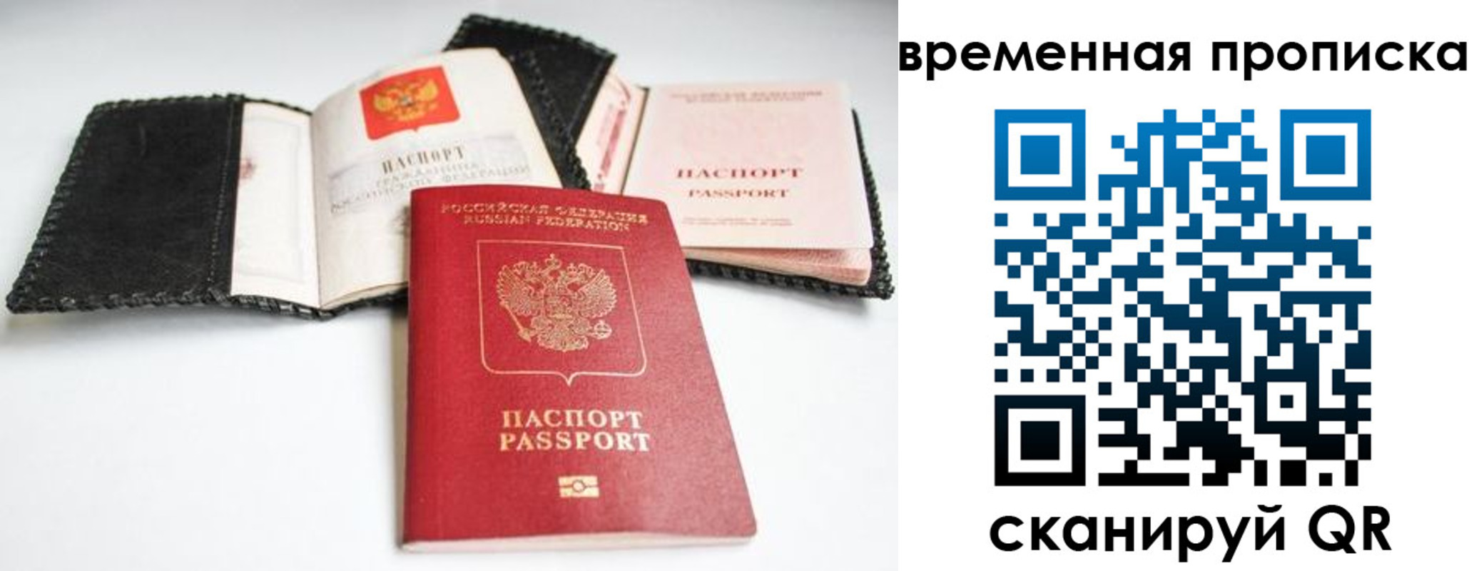 прописка для школы в Вольске